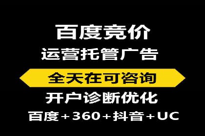 百度SEO推广公司经典之作：打造行业领先品牌