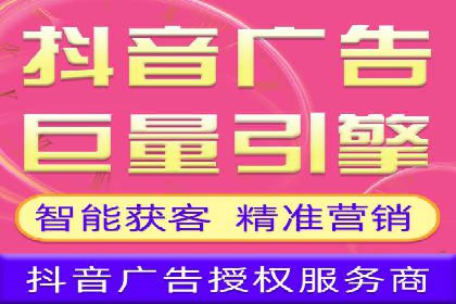 热门SEM运营公司案例深度剖析